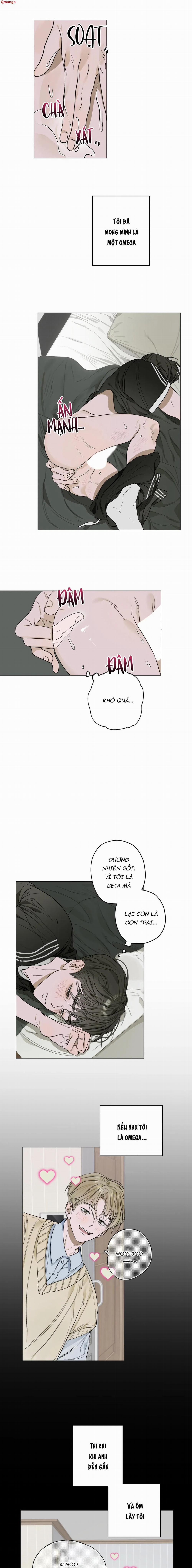 Đoá Hoa Trên Mặt Hồ 2 trang 5