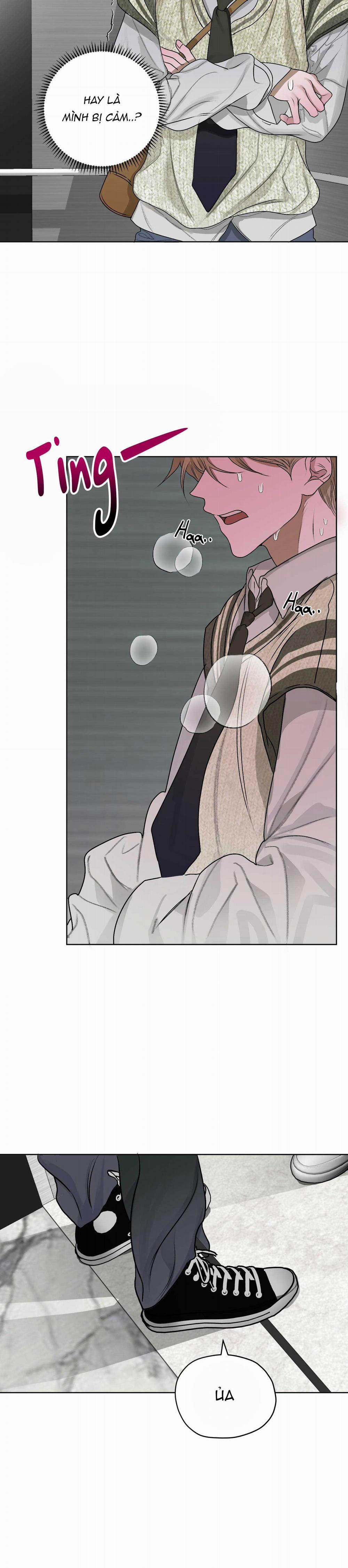 Đoá Hoa Trên Mặt Hồ 20 trang 24