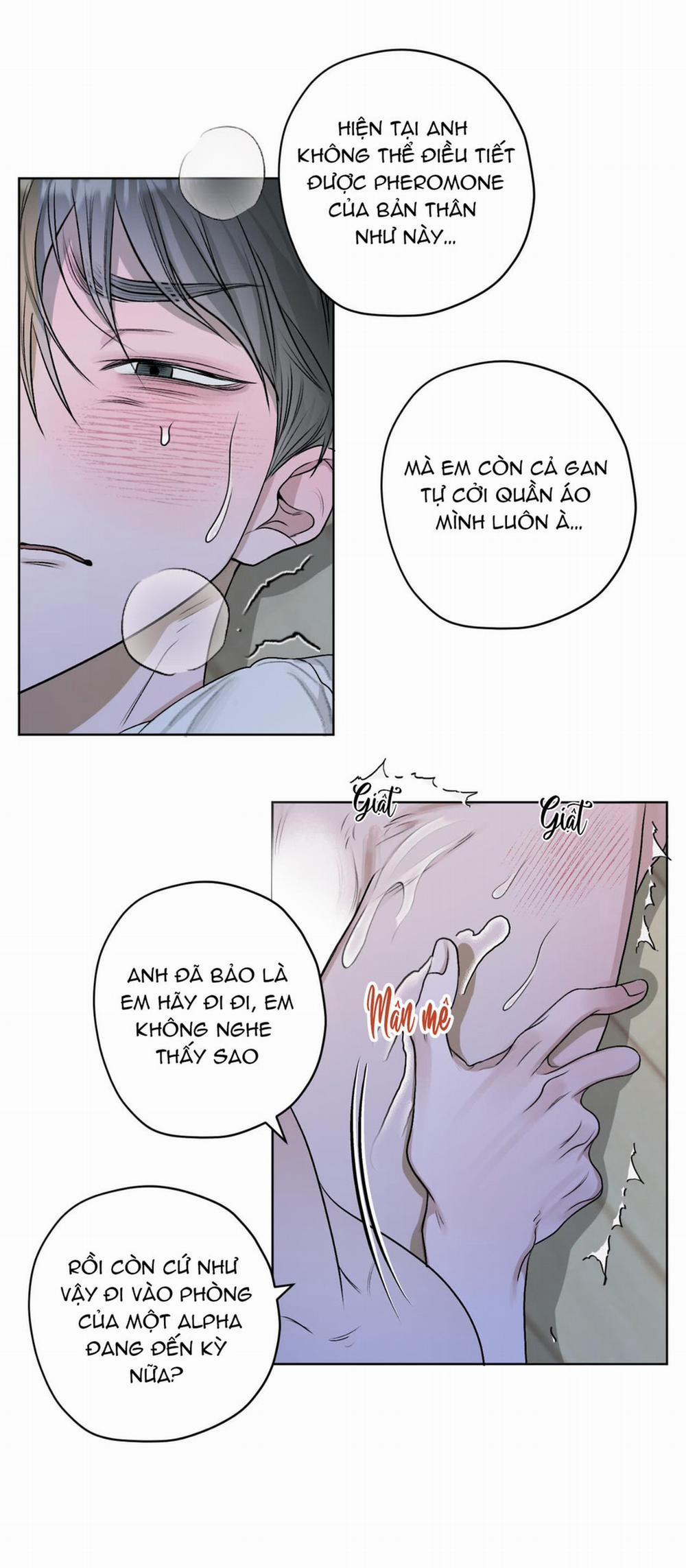 Đoá Hoa Trên Mặt Hồ 23 trang 3