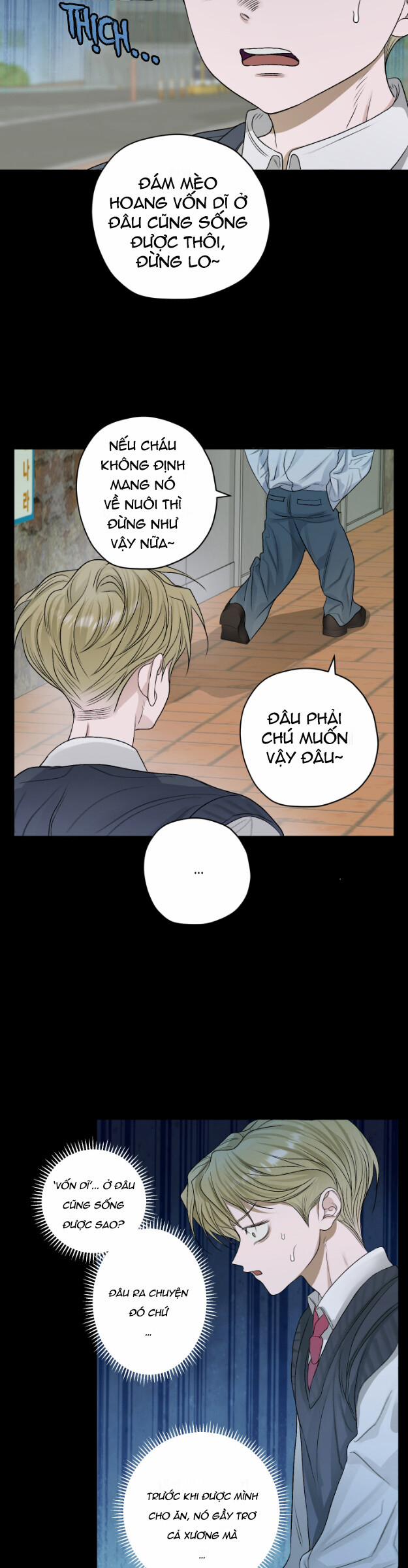 Đoá Hoa Trên Mặt Hồ 26 trang 5