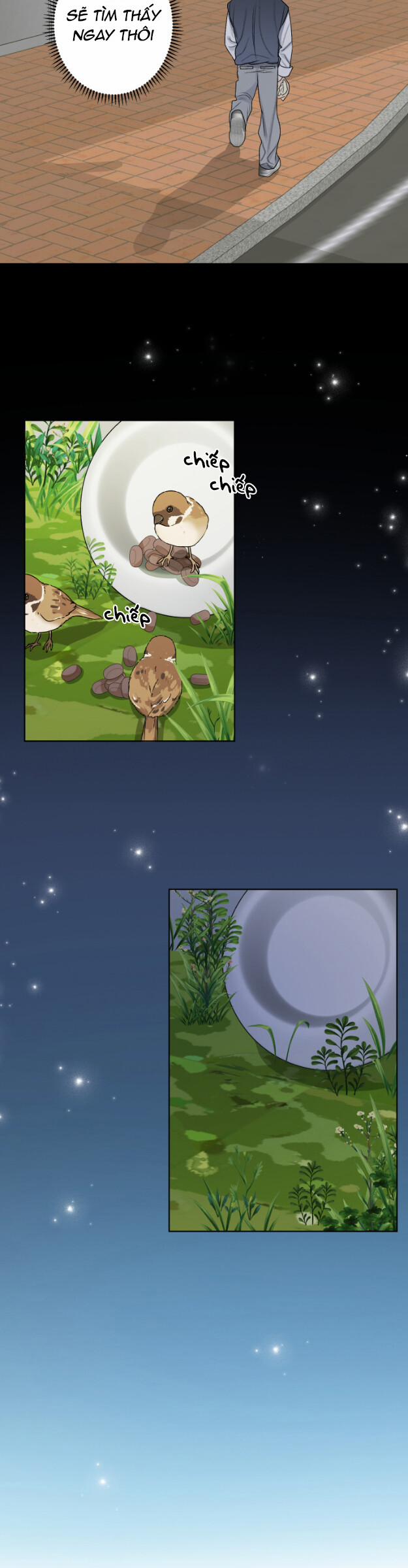 Đoá Hoa Trên Mặt Hồ 26 trang 7