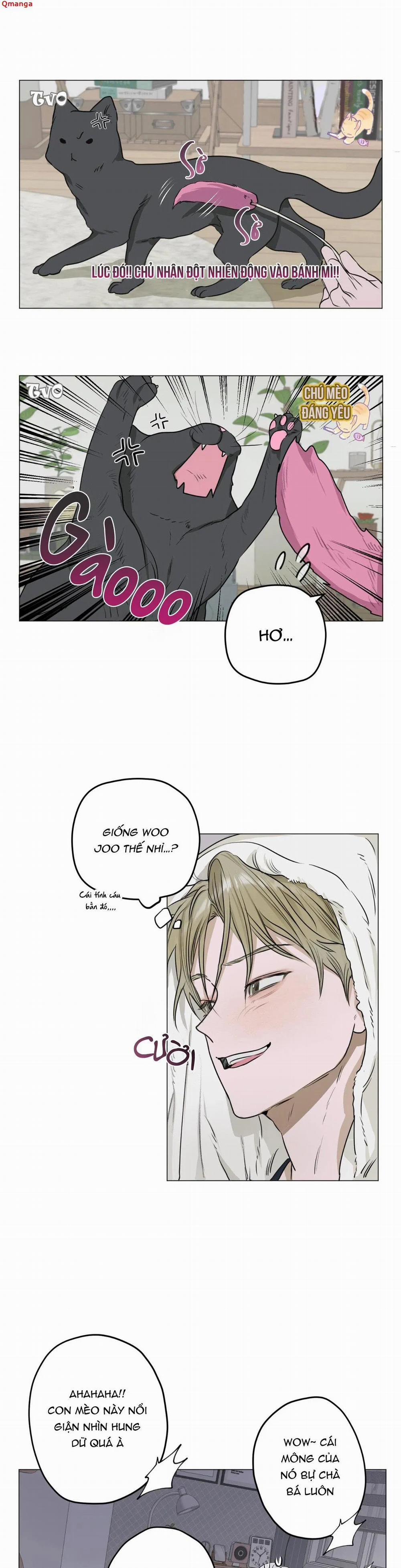 Đoá Hoa Trên Mặt Hồ 3 trang 5