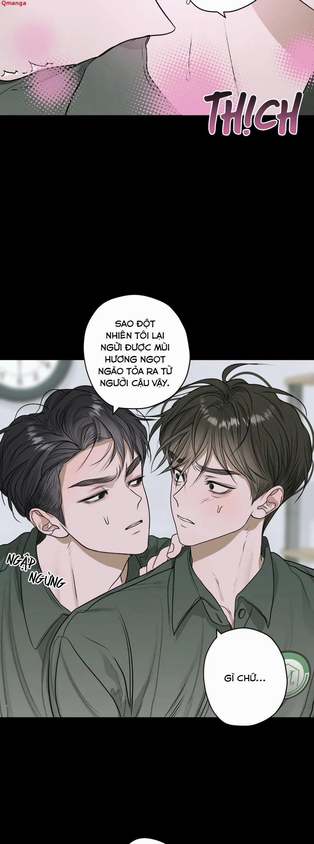 Đoá Hoa Trên Mặt Hồ 8 trang 11