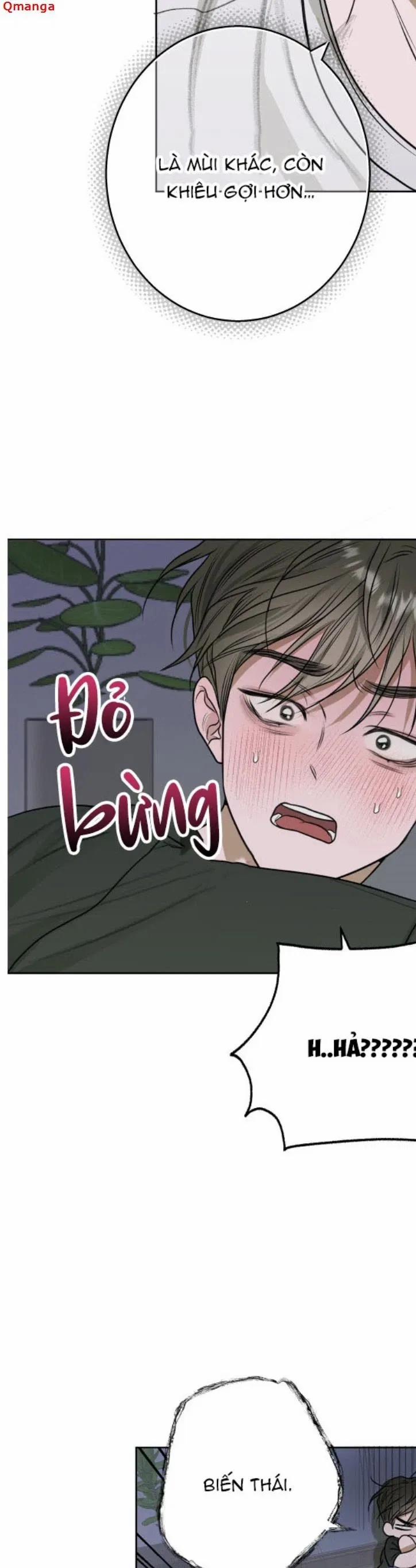 Đoá Hoa Trên Mặt Hồ 9 trang 14