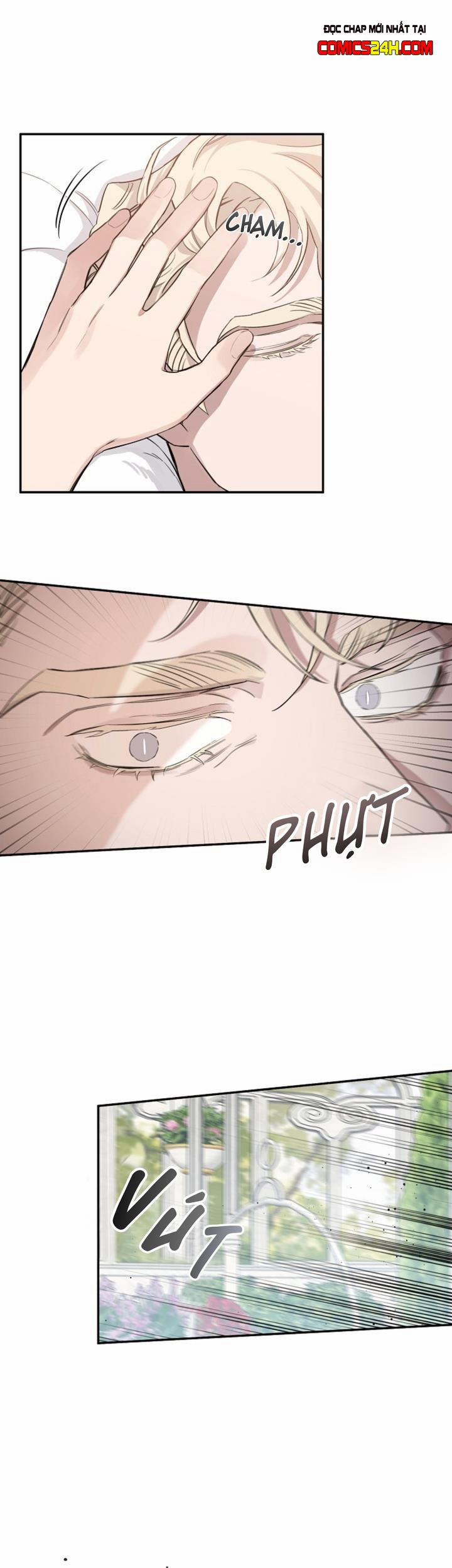 Đoá Hồng Và Ly Champagne 12 trang 15