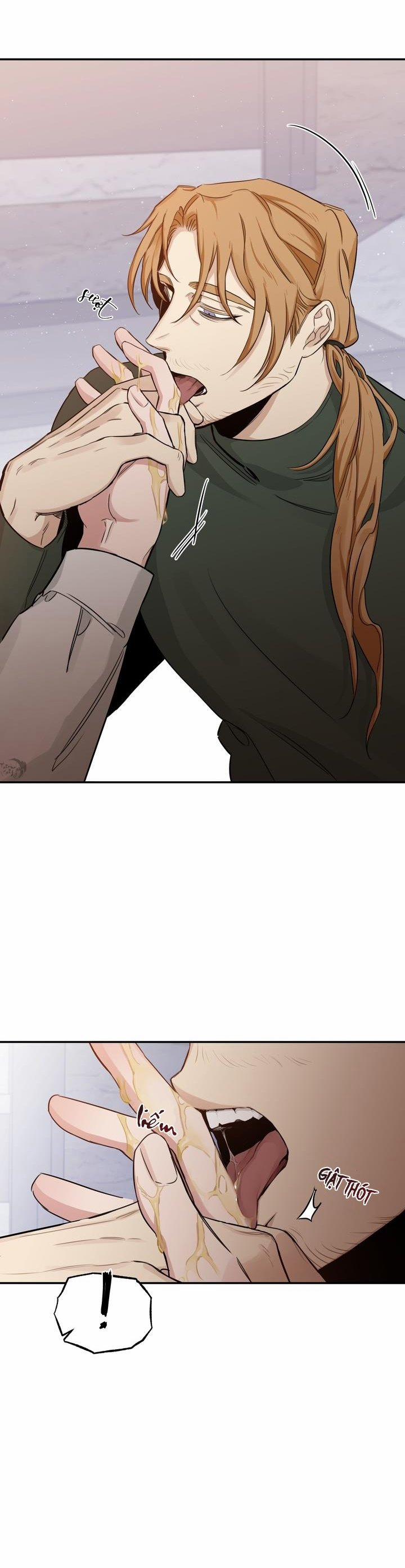 Đoá Hồng Và Ly Champagne 22 trang 28