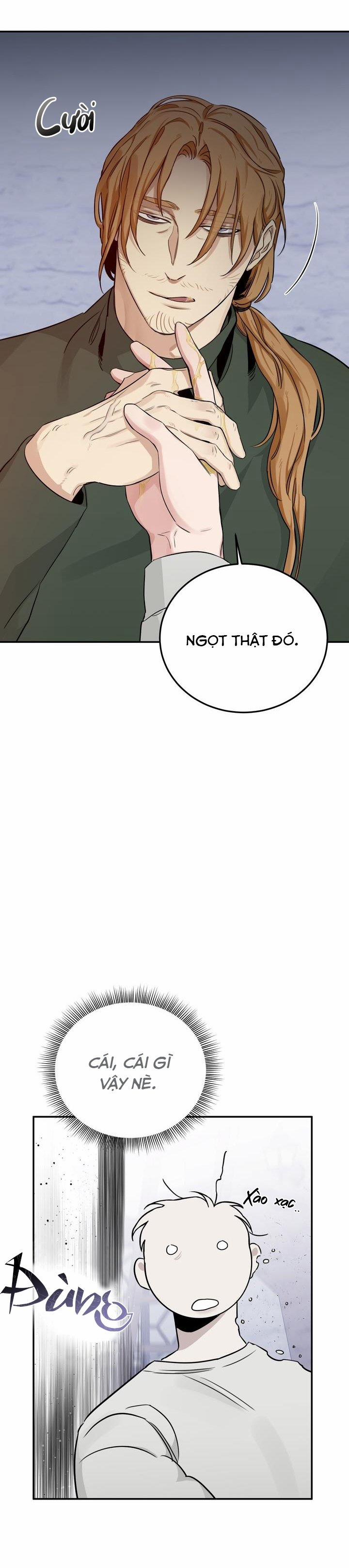 Đoá Hồng Và Ly Champagne 22 trang 29