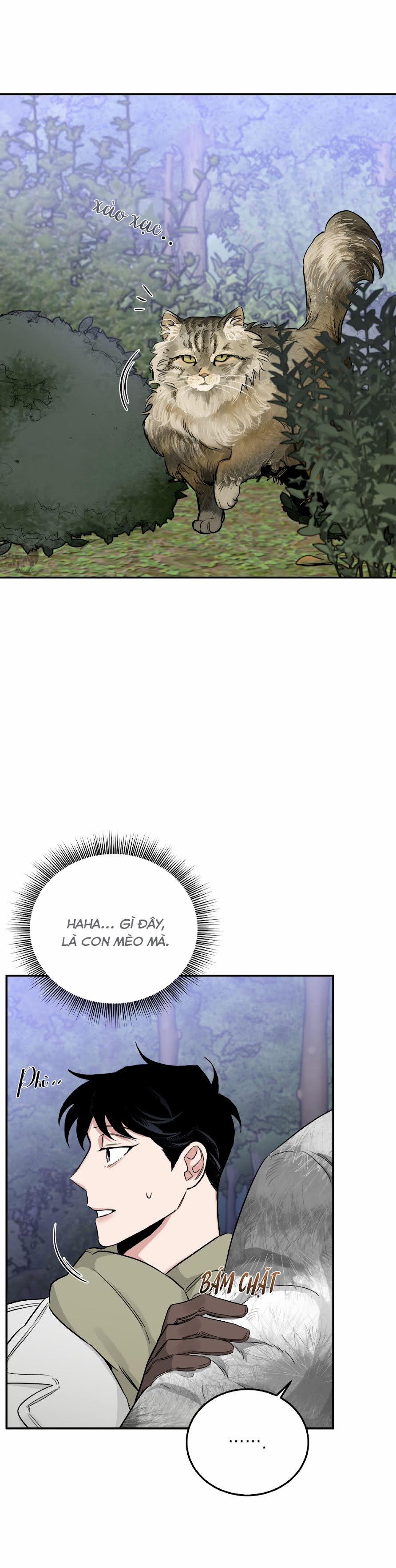 Đoá Hồng Và Ly Champagne 23 trang 31