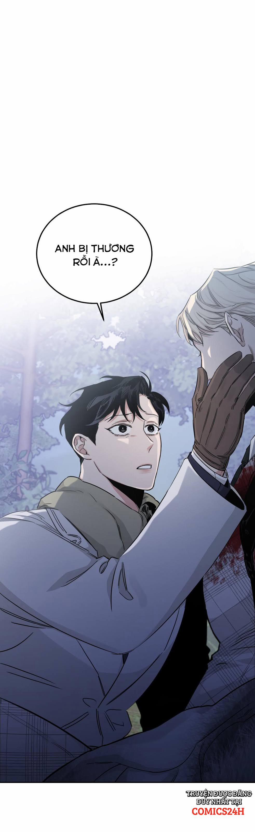 Đoá Hồng Và Ly Champagne 24 trang 1