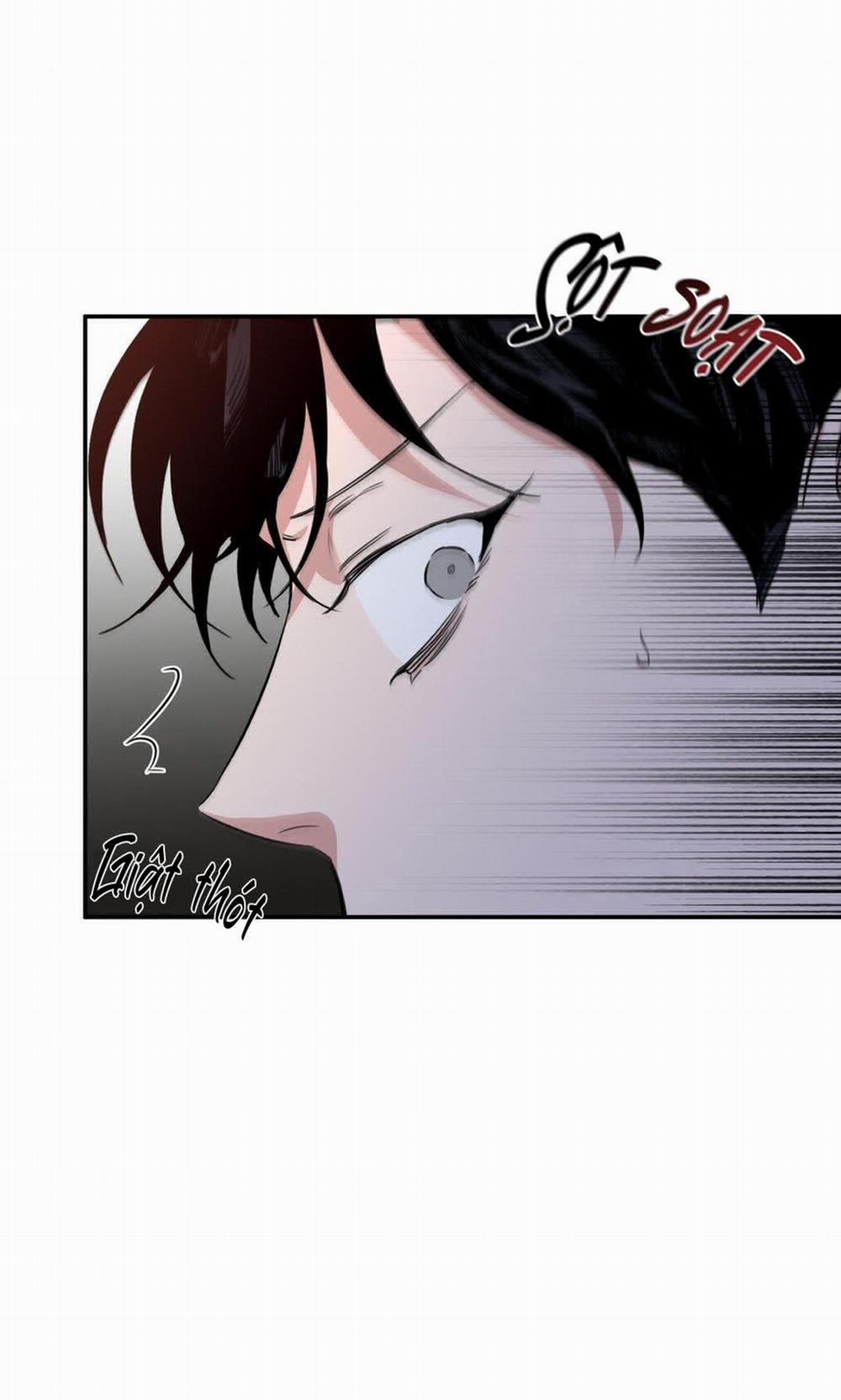 Đoá Hồng Và Ly Champagne 24 trang 27