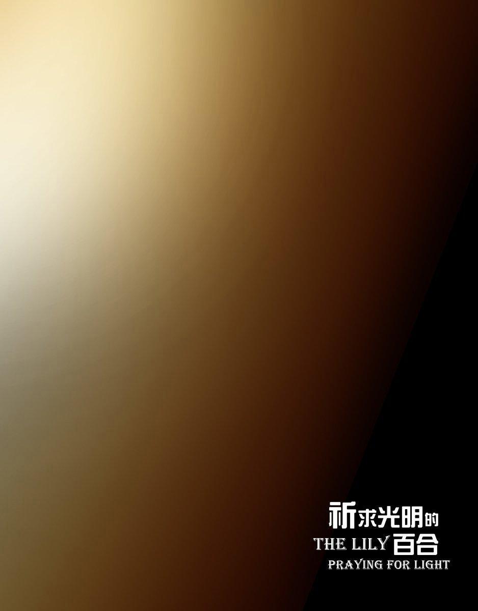 Đoá Lily Nguyện Cầu Ánh Sáng Chiếu Rọi 1 trang 2