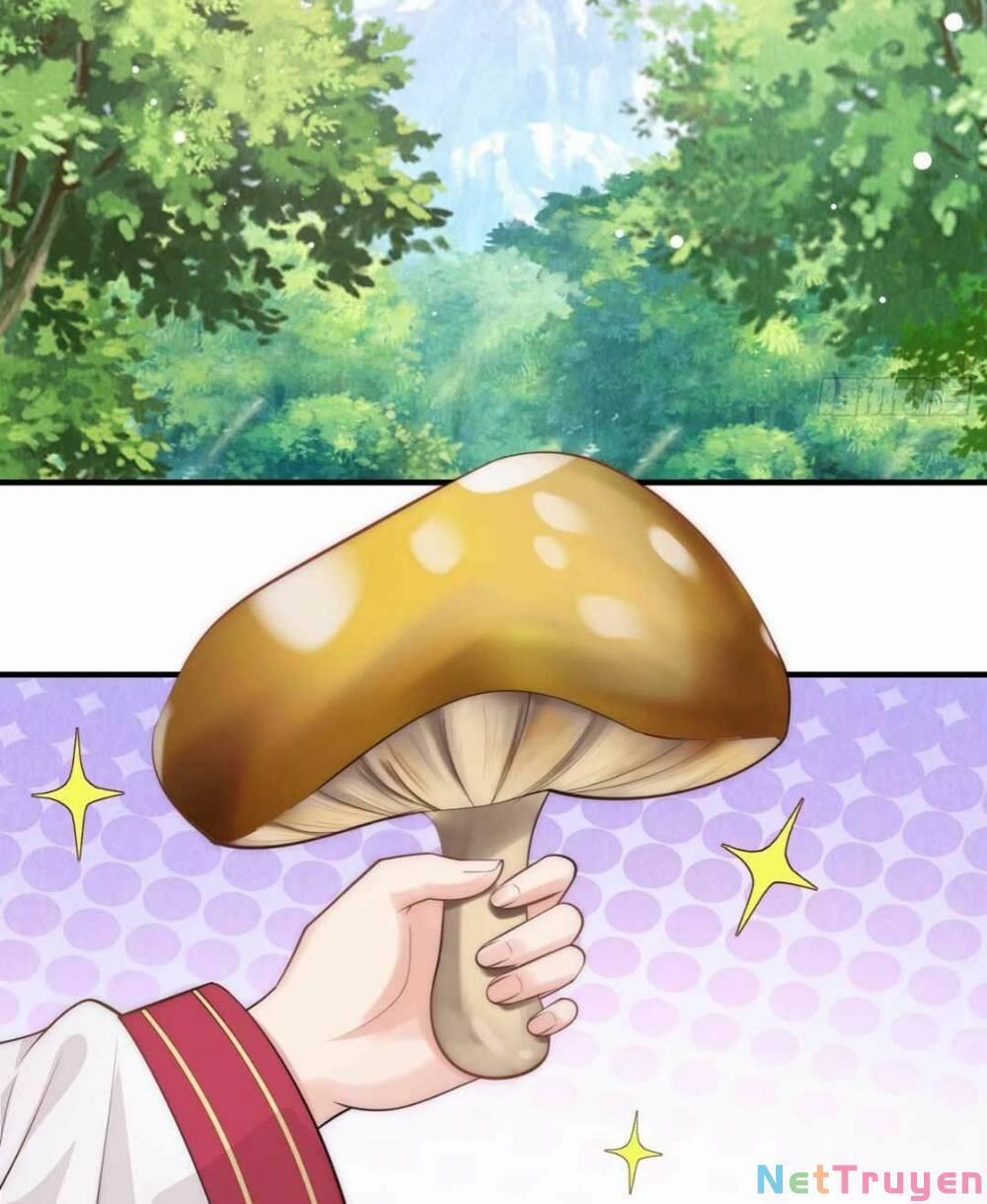 Đoàn Sủng Công Chúa Ba Tuổi Rưỡi 16 trang 30