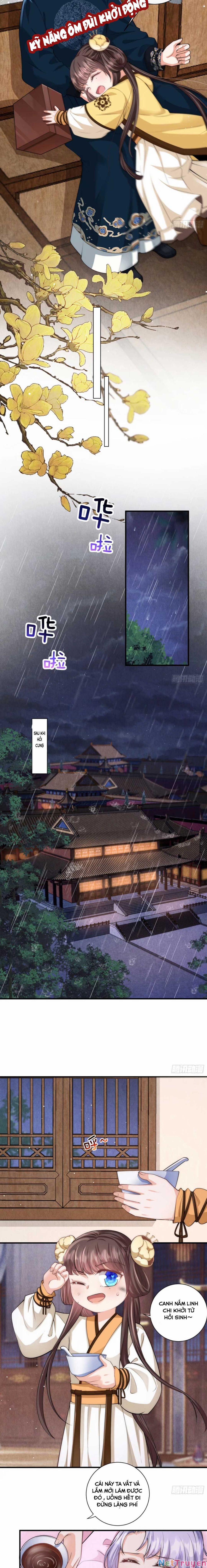 Đoàn Sủng Công Chúa Ba Tuổi Rưỡi 19 trang 4