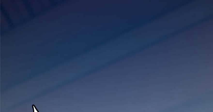 Độc Bộ Thiên Hạ: Đặc Công Thần Y 21 trang 31