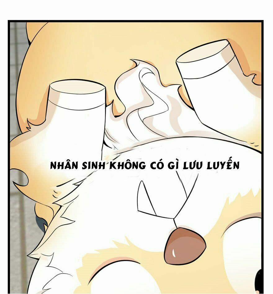 Độc Bộ Thiên Hạ: Đặc Công Thần Y 22 trang 55