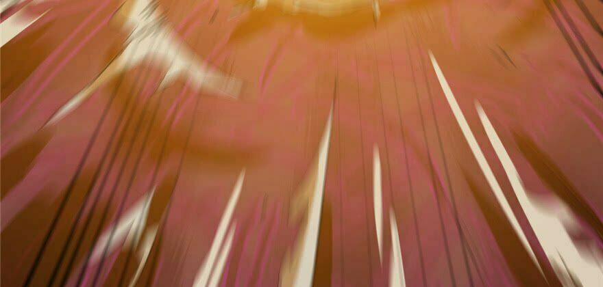 Độc Bộ Thiên Hạ: Đặc Công Thần Y 26 trang 10