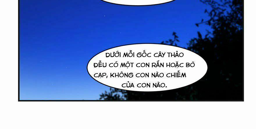 Độc Bộ Thiên Hạ: Đặc Công Thần Y 27 trang 81