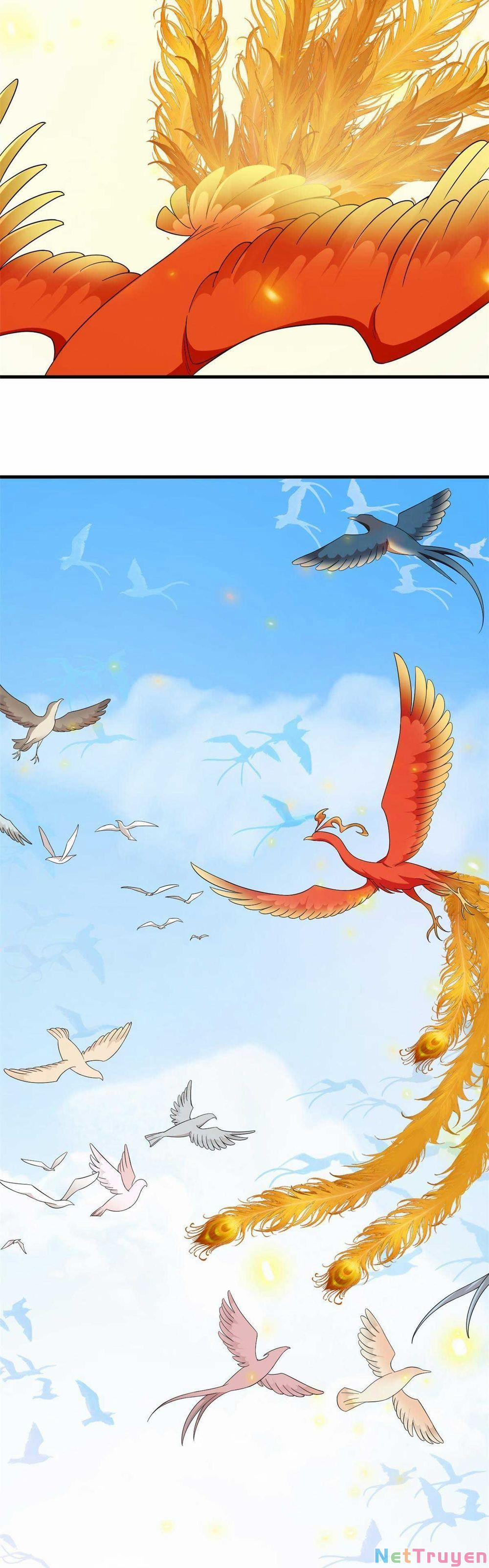 Độc Bộ Thiên Hạ: Đặc Công Thần Y 384 trang 21