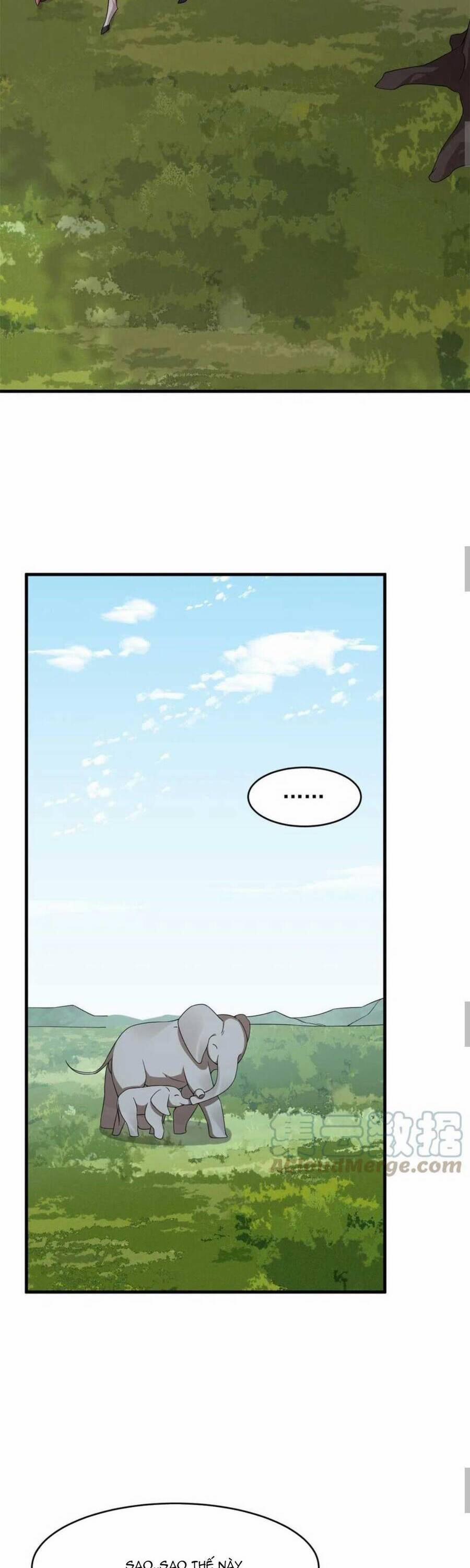 Độc Bộ Thiên Hạ: Đặc Công Thần Y 425 trang 5