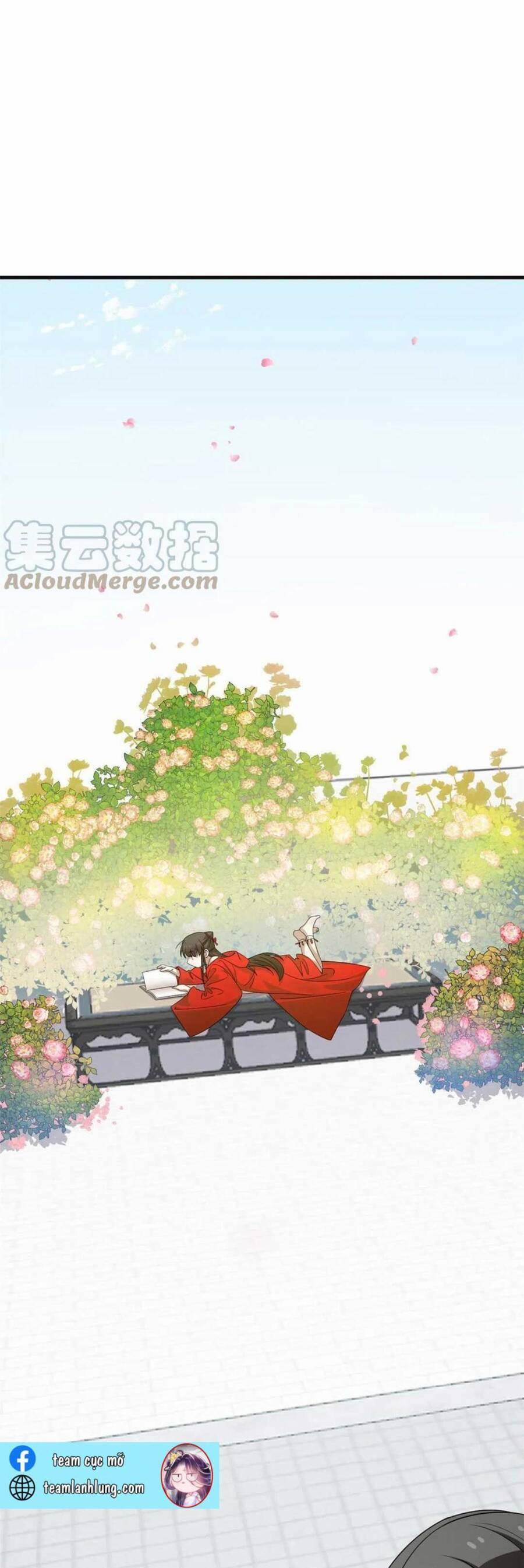 Độc Bộ Thiên Hạ: Đặc Công Thần Y 429 trang 5