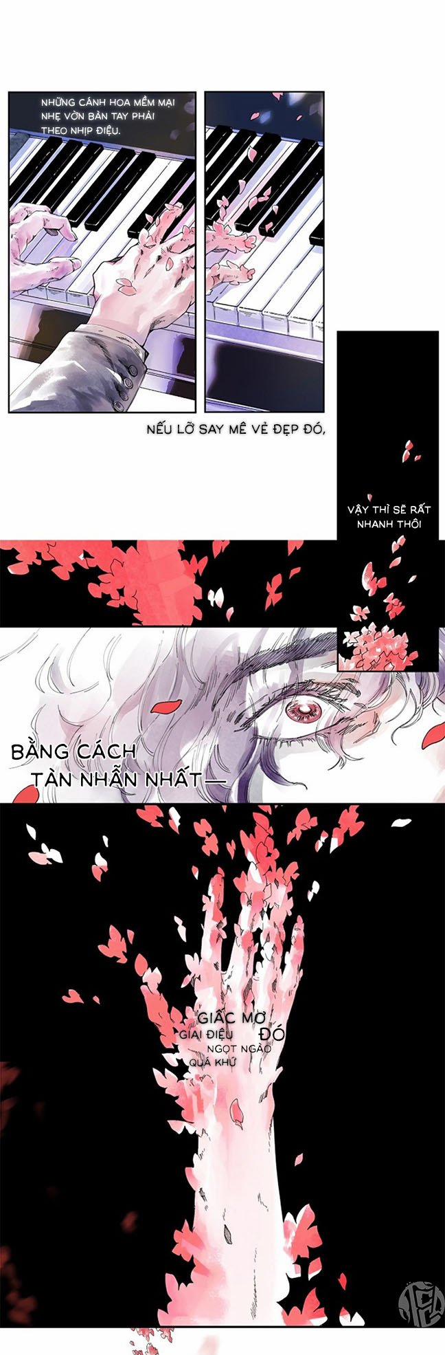 Độc Diễn Trên Những Phím Đàn 1 trang 5