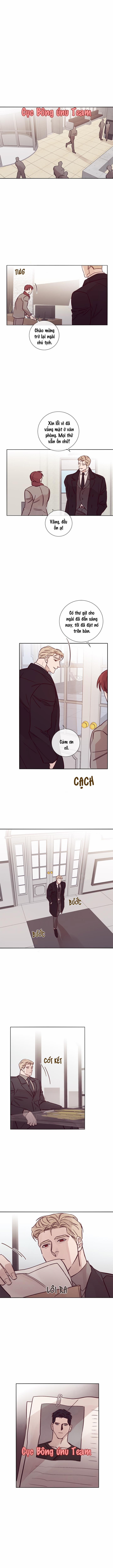 Độc Dược (Marcel) 12 trang 6