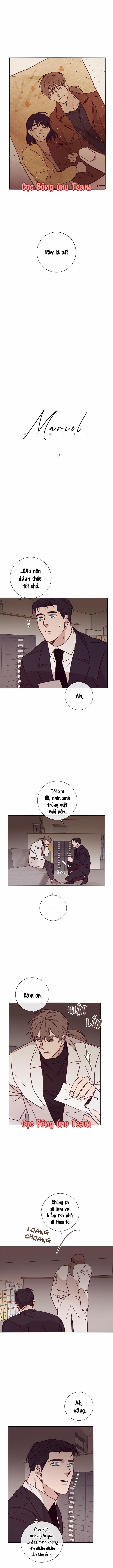 Độc Dược (Marcel) 14 trang 0