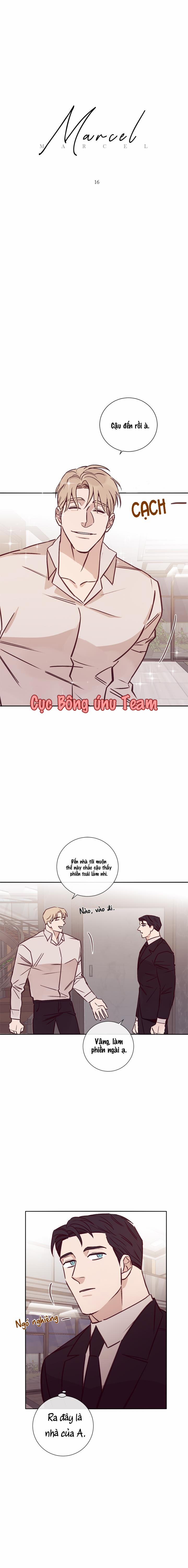 Độc Dược (Marcel) 16 trang 0