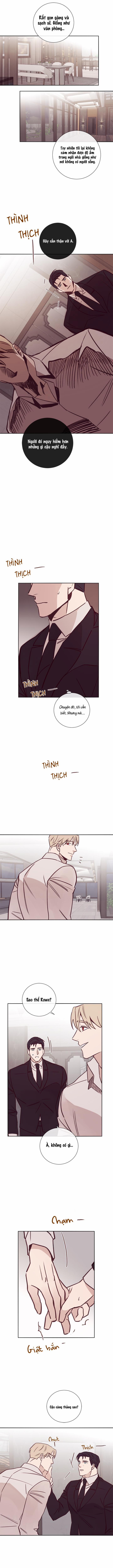 Độc Dược (Marcel) 16 trang 1