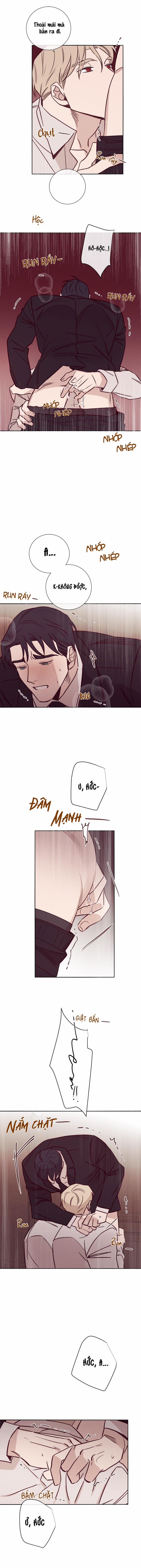 Độc Dược (Marcel) 16 trang 7