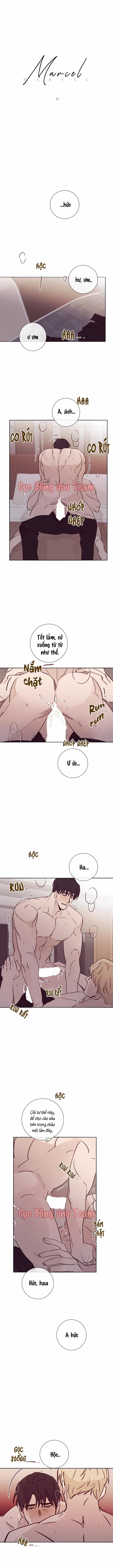 Độc Dược (Marcel) 17 trang 0