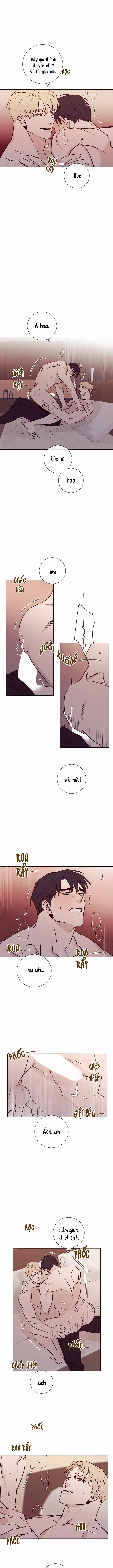 Độc Dược (Marcel) 17 trang 1