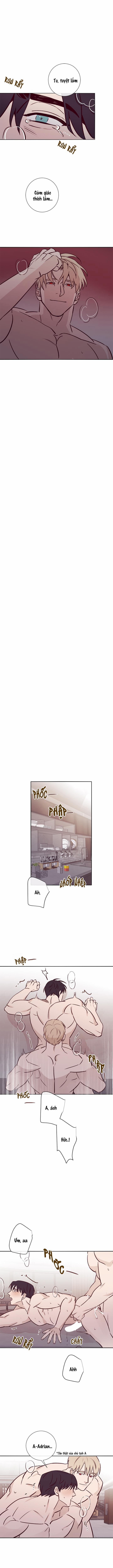 Độc Dược (Marcel) 17 trang 5