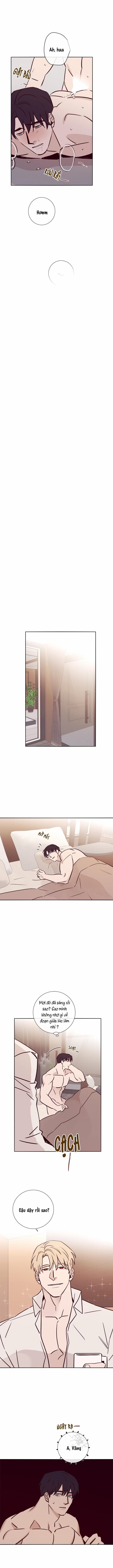 Độc Dược (Marcel) 17 trang 7