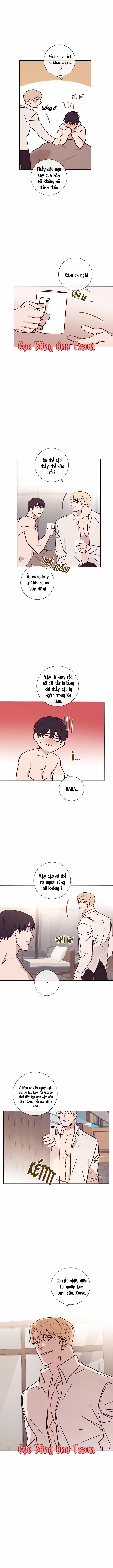 Độc Dược (Marcel) 17 trang 8