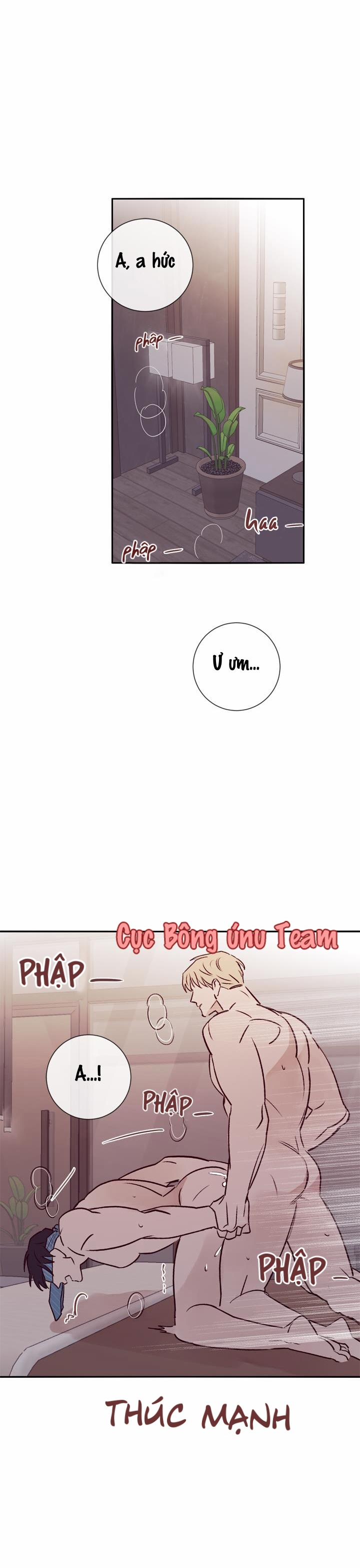 Độc Dược (Marcel) 19 trang 1