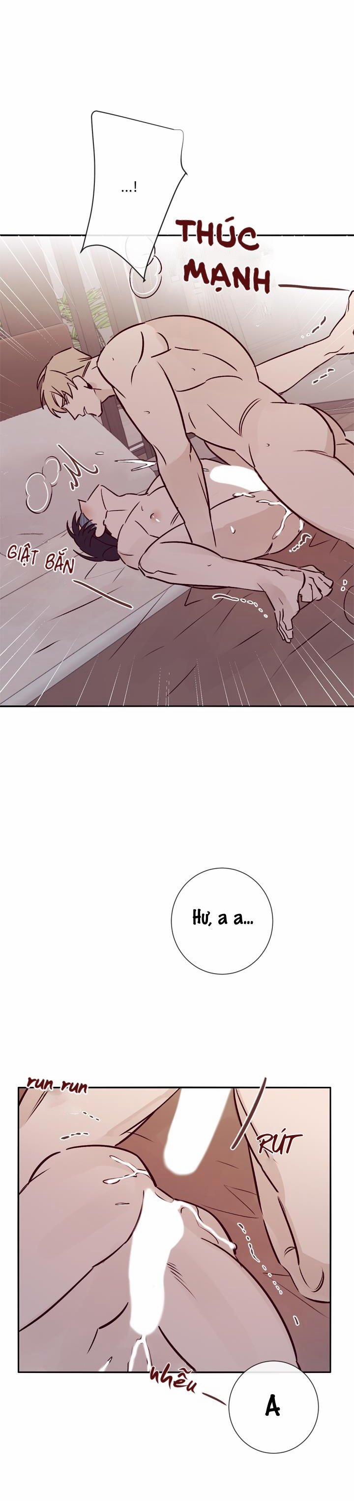 Độc Dược (Marcel) 19 trang 10