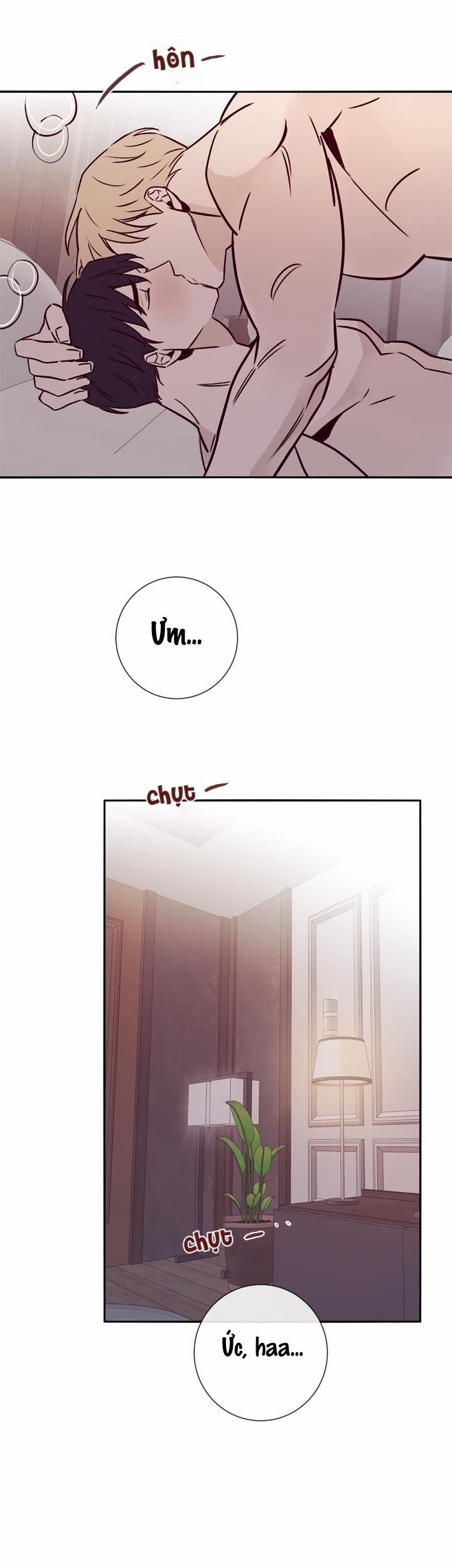 Độc Dược (Marcel) 19 trang 12