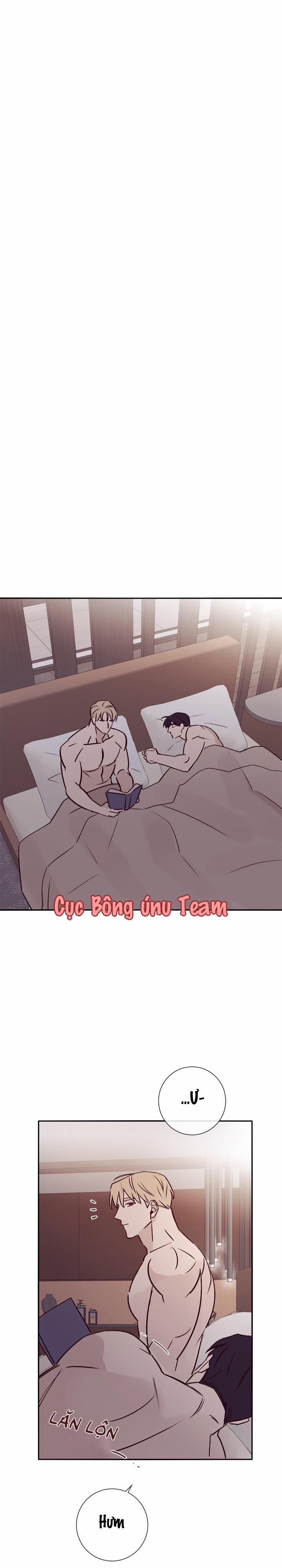 Độc Dược (Marcel) 19 trang 13