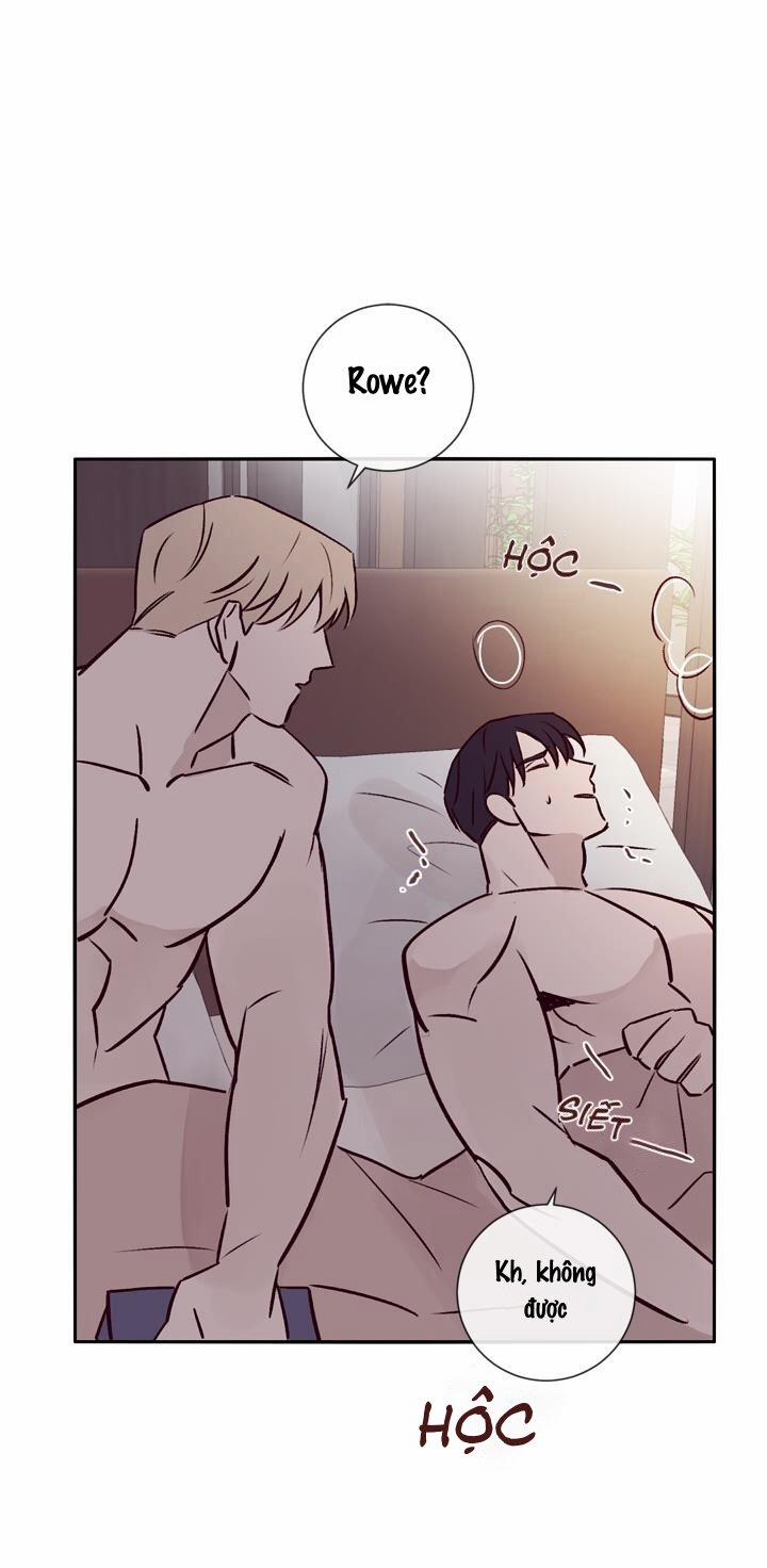 Độc Dược (Marcel) 19 trang 14