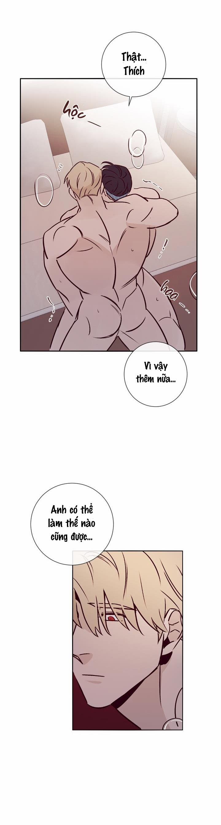 Độc Dược (Marcel) 19 trang 5