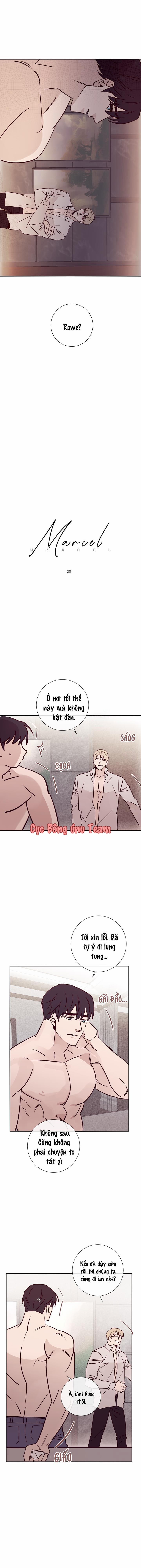 Độc Dược (Marcel) 20 trang 0