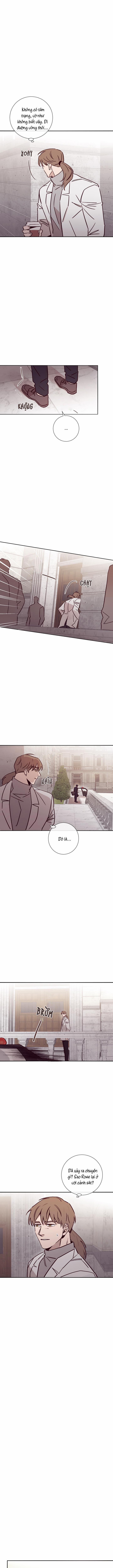 Độc Dược (Marcel) 20 trang 5