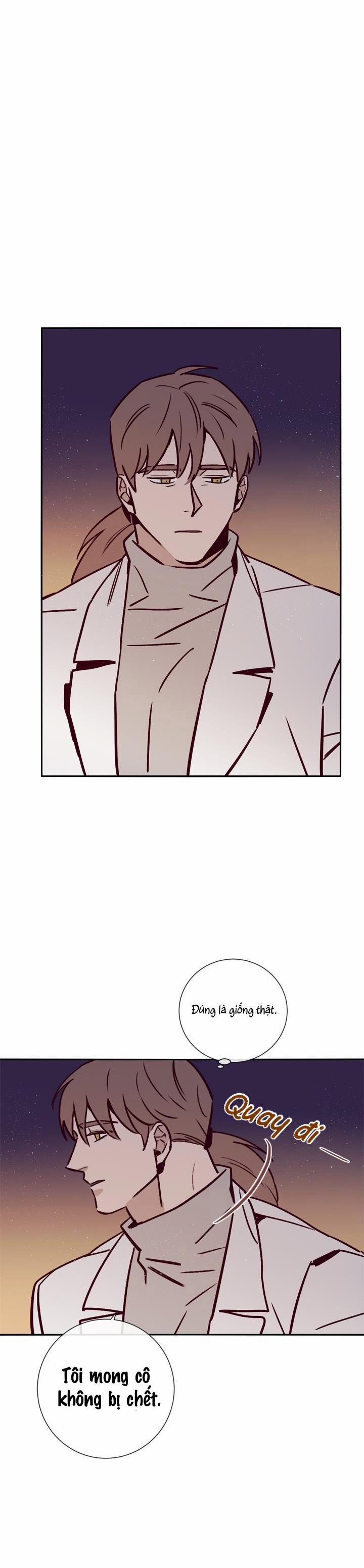 Độc Dược (Marcel) 21 trang 11