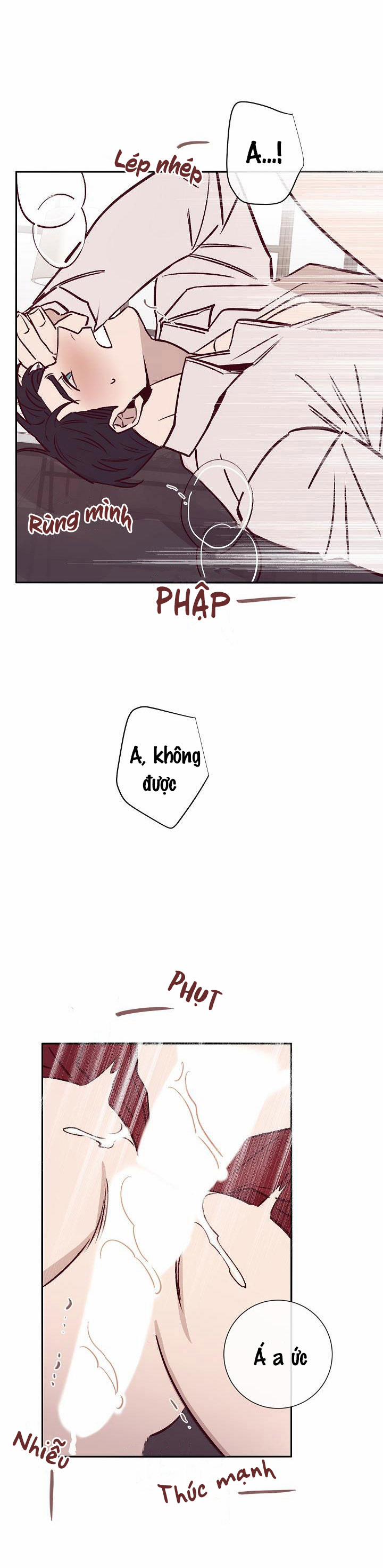 Độc Dược (Marcel) 22 trang 11