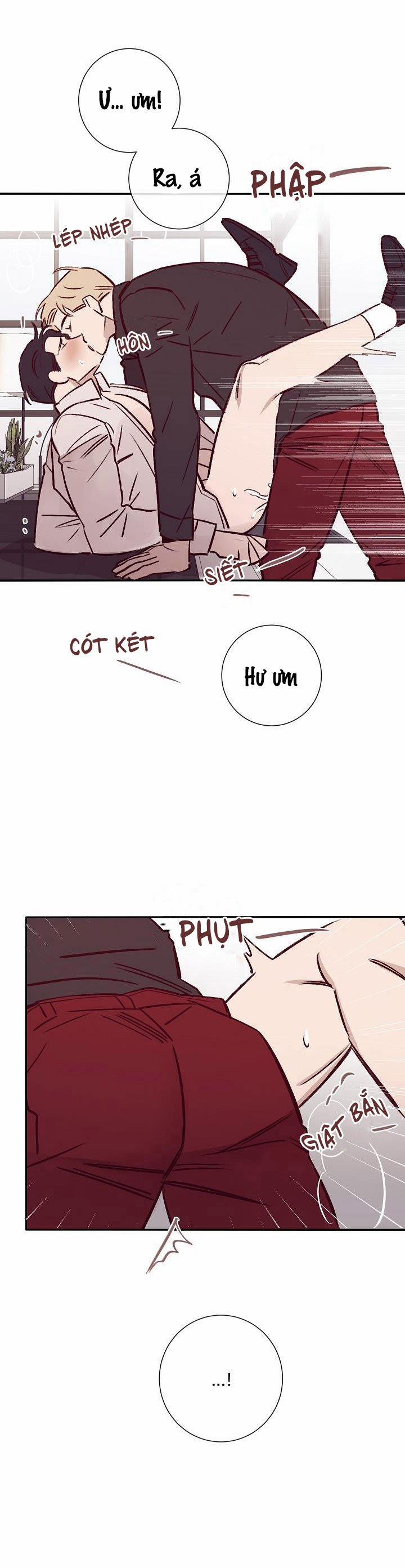 Độc Dược (Marcel) 22 trang 12