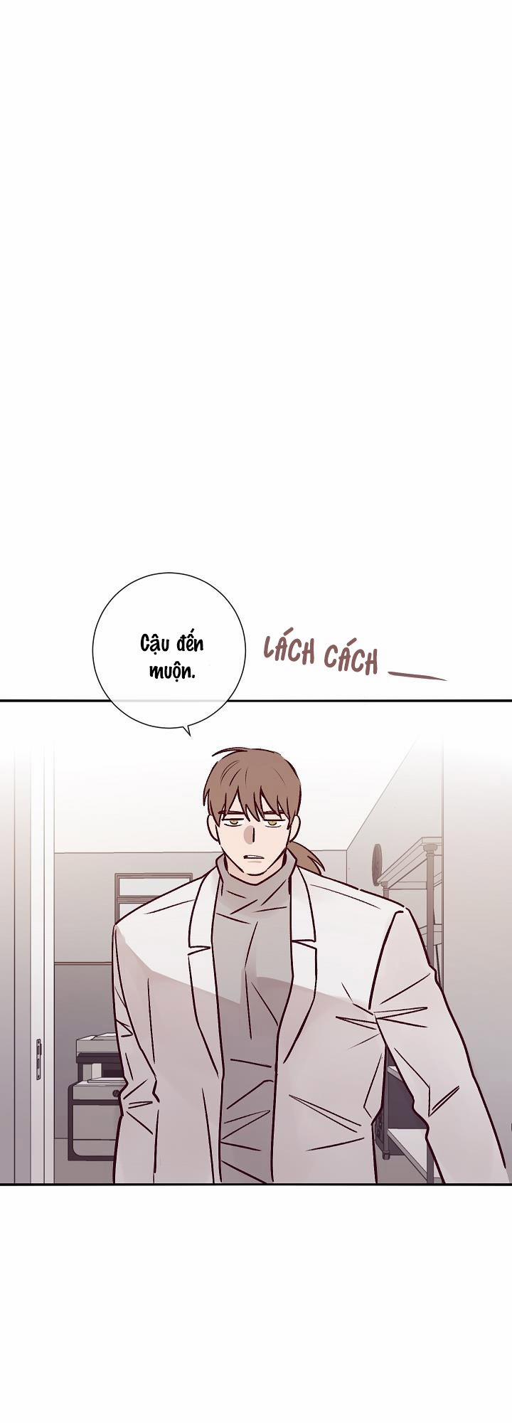 Độc Dược (Marcel) 22 trang 29