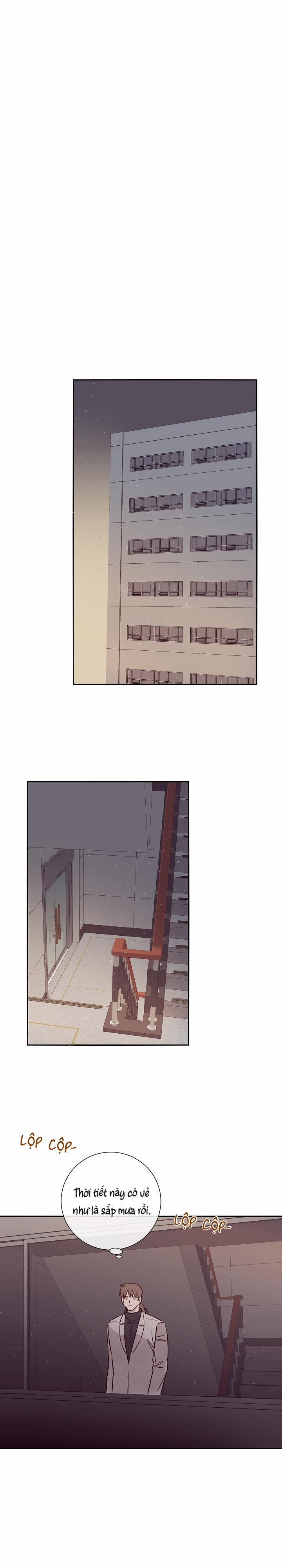 Độc Dược (Marcel) 24 trang 19