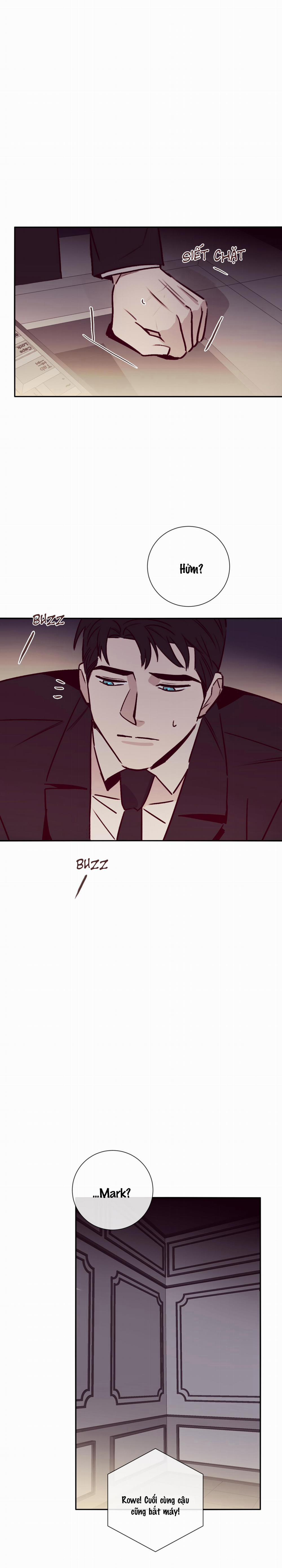 Độc Dược (Marcel) 26 trang 17