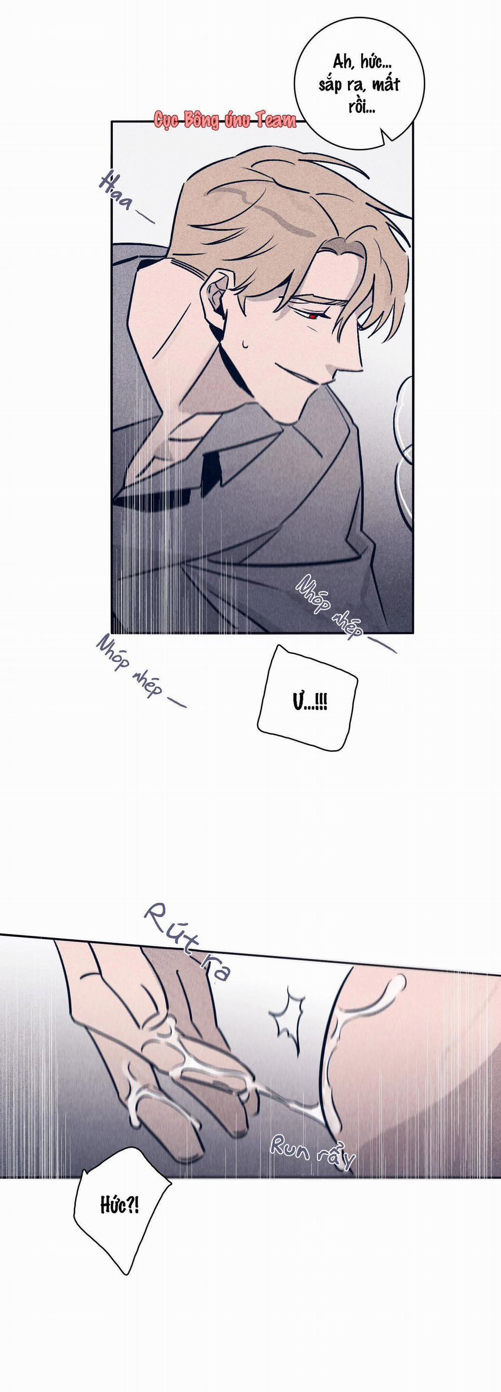 Độc Dược (Marcel) 29 trang 11